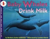 Baby whales drink milk - Click Image to Close