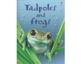 Tadpoles and frogs - Click Image to Close