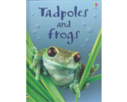 Tadpoles and frogs